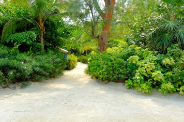 COCOCOCAY, BAHAMAS - 10 Şubat 2023: CocoCay, sadece Royal Caribbean Group tarafından turizm için kullanılan Böğürtlen adalarından biridir..