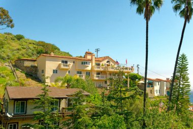 AVALON, CALIFORNIA - 17 Kasım 2019: Avalon, Los Angeles açıklarındaki Kanal Adaları 'nda Santa Catalina Adası' nda turizm odaklı işletmelerin hakim olduğu bir tatil beldesi..