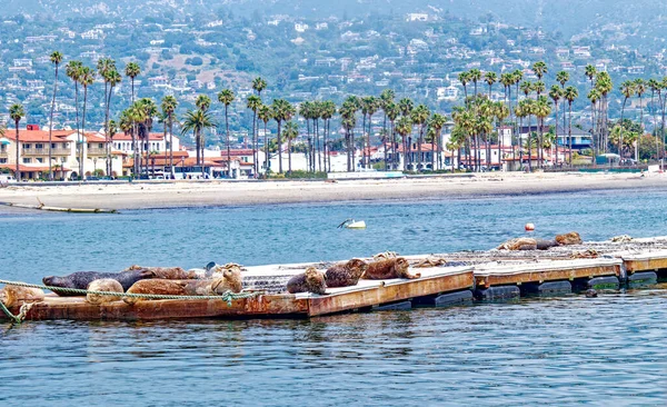 サンタバーバラ Santa Barbara カリフォルニア州 2023年4月27日 カリフォルニア州の沿岸都市 人気の観光地やリゾート地の他に 市経済には大規模なサービス業が含まれている — ストック写真