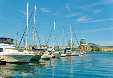 VICTORIA, BRITISH COLUMBIA - 2 Mayıs 2023: Fishermans Wharf, çalışan balıkçı tekneleri, eğlence tekneleri, yüzen evler ve taze balık ve deniz ürünleri servis eden büfeleri ile benzersiz bir duraktır.