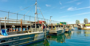 VICTORIA, BRITISH COLUMBIA - 2 Mayıs 2023: Fishermans Wharf, çalışan balıkçı tekneleri, eğlence tekneleri, yüzen evler ve taze balık ve deniz ürünleri servis eden büfeleri ile benzersiz bir duraktır.