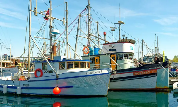 Victoria British Columbia 2023 Május Fishermans Wharf Egy Egyedülálló Úti — Stock Fotó