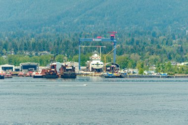VANCOUVER, BRITISH COLUMBIA - 3 Mayıs 2023: Vancouver, Britanya Kolumbiyası 'nın hareketli bir batı kıyısı limanı, Kanada' nın en yoğun ve etnik çeşitliliğe sahip şehirleri arasındadır..