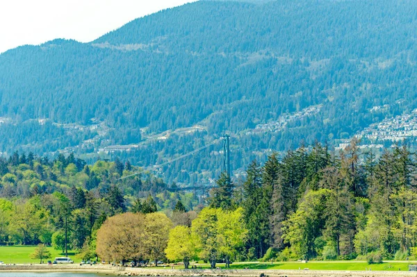 Ванкоувер Брітес Колумбія Травня 2023 Ванкувер Галасливий Порт Західного Узбережжя — стокове фото