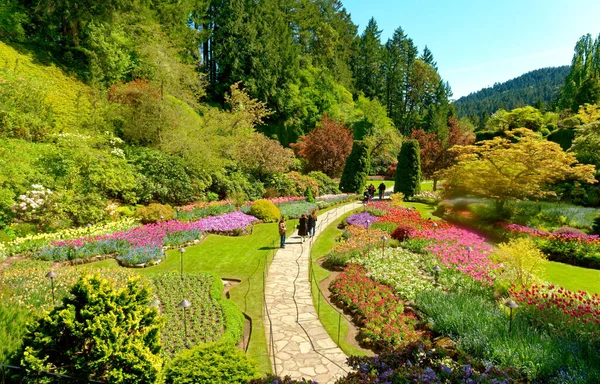 Victoria Columbia Británica Mayo 2016 Butchart Gardens Cerca Victoria Recibe —  Fotos de Stock