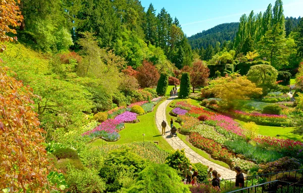 不列颠哥伦比亚省维多利亚 2016年5月21日 维多利亚附近的布查特花园每年接待100多万游客 并被指定为加拿大国家历史遗址 — 图库照片