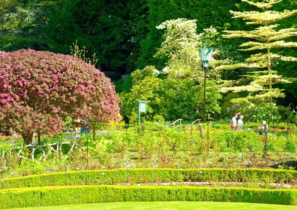 Victoria Colombie Britannique Mai 2016 Butchart Gardens Près Victoria Reçoit — Photo