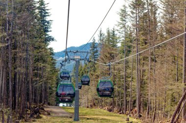 ICY STRAIT, ALASKA - 9 Mayıs 2023: Buzlu Boğaz, Alaska 'nın güneydoğusundaki Alexander Takımadası' nda bir boğazdır. Yakındaki yolcu gemisinin varış yeri Icy Boğazı Noktası 'na atıfta bulunuldu..