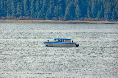 ICY STRAIT, ALASKA - 9 Mayıs 2023: Buzlu Boğaz, Alaska 'nın güneydoğusundaki Alexander Takımadası' nda bir boğazdır. Yakındaki yolcu gemisinin varış yeri Icy Boğazı Noktası 'na atıfta bulunuldu..