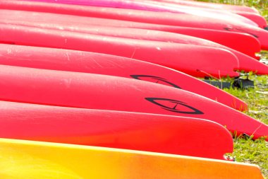 ICY STRAIT, ALASKA - 9 Mayıs 2023: Buzlu Boğaz, Alaska 'nın güneydoğusundaki Alexander Takımadası' nda bir boğazdır. Yakındaki yolcu gemisinin varış yeri Icy Boğazı Noktası 'na atıfta bulunuldu..