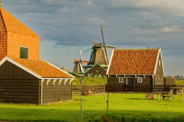 AMSTERDAM, NETHERLANDS - 24 Ağustos 2023: Amsterdam, sanatsal mirası, ayrıntılı kanal sistemi ve dar cepheli evleri ile bilinen Hollanda başkentidir..