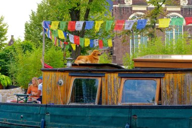 AMSTERDAM, NETHERLANDS - 24 Ağustos 2023: Amsterdam, sanatsal mirası, ayrıntılı kanal sistemi ve dar cepheli evleri ile bilinen Hollanda başkentidir..