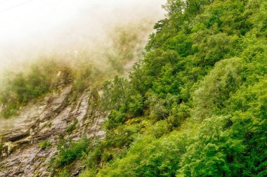 BERGEN, NORway - 28 Ağustos 2023: Norveç 'in batı kıyısındaki Bergen yedi dağlık şehir olarak bilinir. Norveç 'in en işlek limanıdır ve yılda yaklaşık 500 bin yolcusu vardır.