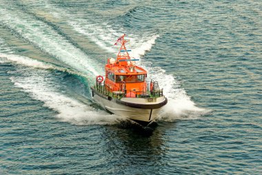 Pilotluk ettikleri gemiler ve karalar arasında deniz pilotlarını taşımak için bir pilot bot kullanılır. Modern pilot tekneleri gemilere çarpmaya dayanacak şekilde tasarlanmıştır.