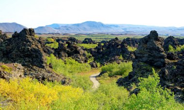 AKUREYRI, ICELAND - 31 Ağustos 2023: İzlanda sanayii ekonomik faaliyetin 25 'i iken, hizmetler 70' e yakın. Turizm sektörü, özellikle eko-turizm ve balina izleme alanlarında büyüyor.