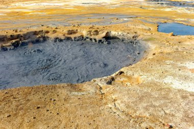 AKUREYRI, ICELAND - 31 Ağustos 2023: İzlanda sanayii ekonomik faaliyetin 25 'i iken, hizmetler 70' e yakın. Turizm sektörü, özellikle eko-turizm ve balina izleme alanlarında büyüyor.