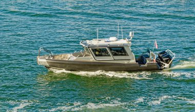 Fort Lauder DERDALE, FLORIDA - 20 Ocak 2024: Port Everglades, hem uluslararası ticaret hem de gemi seyahatlerinin kapısı olduğu için Güney Floridas 'ın önde gelen ekonomik motorlarından biridir..