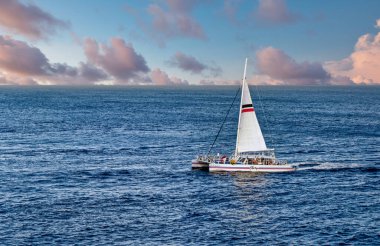 COZUMEL, MEXICO - 25 Ocak 2024: Cozumel, Meksika Yarımadası 'nın doğu kıyısında, Playa del Carmen' in karşısında ve Yucat Kanalı 'na yakın bir ada..