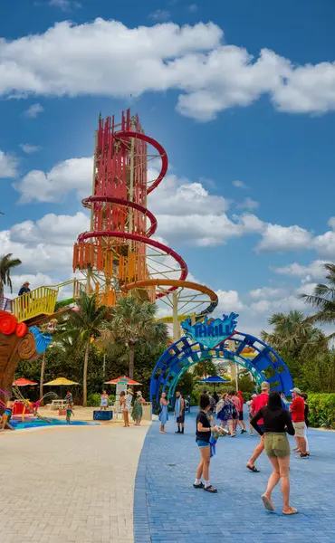 COCO CAY, BAHAMAS - 1 Şubat 2024: Coco Cay, Bahamalar 'da bulunan bir liman. Kraliyet Karayipleri 'ne kiralanmış özel bir adadır. Üç yolcu gemisinin yolcuları için kiralanır..