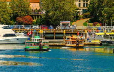 VICTORIA, CANADA - 11 Temmuz 2024: Tarihi cazibenin modern canlılıkla buluştuğu, çarpıcı manzaralar, zengin kültür ve eşsiz bir Pasifik Kuzeybatı deneyimi sunan bir kıyı mücevheri.