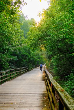 Forsyth County Georgia 'da Greeway Yürüyüş Yolu Boyunca Sahneler