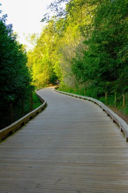 Forsyth County Georgia 'da Greeway Yürüyüş Yolu Boyunca Sahneler