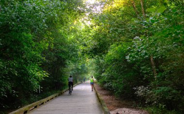 Forsyth County Georgia 'da Greeway Yürüyüş Yolu Boyunca Sahneler