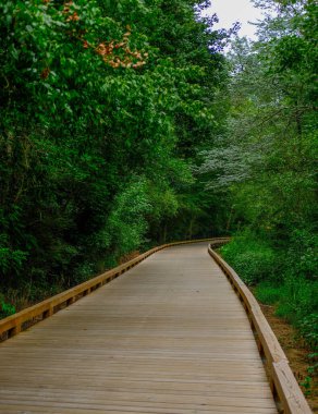 Forsyth County Georgia 'da Greeway Yürüyüş Yolu Boyunca Sahneler