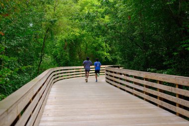 Forsyth County Georgia 'da Greeway Yürüyüş Yolu Boyunca Sahneler