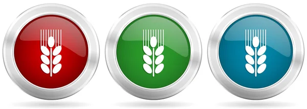 Tahıl Vektör Simgesi Ayarlandı Krom Kenarlıklı Kırmızı Mavi Yeşil Metalik — Stok Vektör