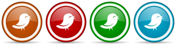 Twitter Parlak Simgeleri Web Internet Mobil Uygulamalar Için Dört Renk — Stok fotoğraf