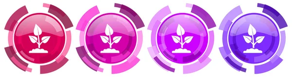 유기농 생태계의 아이콘 디자인 버튼에 아이콘 — 스톡 사진