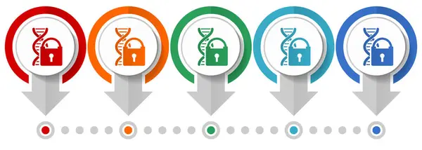 Dna Conjunto Iconos Vectores Investigación Genética Plantilla Infografía Diseño Plano — Vector de stock