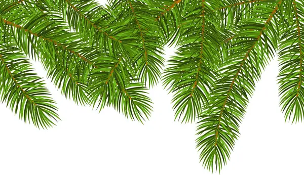 Διανυσματική Εικόνα Της Κάρτας Χριστουγέννων Πρωτοχρονιάς Πράσινα Κλαδιά Από Έλατο — Διανυσματικό Αρχείο