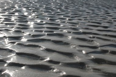 Baltık Denizi kıyısındaki Letonya plajı. Yansımalı ıslak, parlak kum.. 