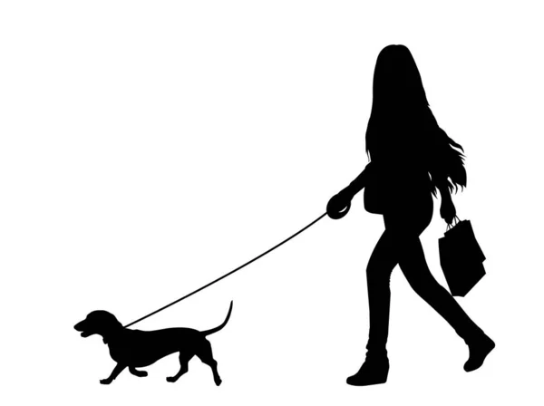 Mujer Paseando Una Silueta Perro Ilustraciones Vectoriales — Vector de stock