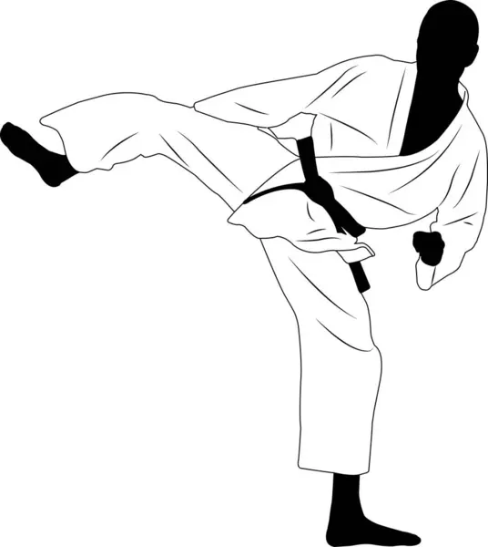 Karate Fighter Sidekick Kampsport Vektor — Stock vektor