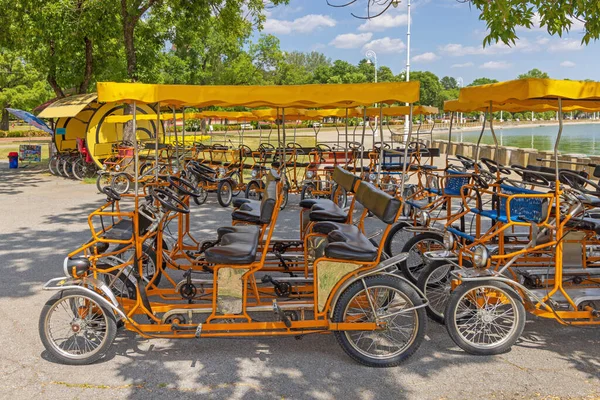 Four Person Pedal Bicycles Rent Public Park — стокове фото