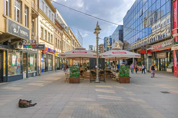 Nis Serbia August 2022 People Walking Obrenoviceva Street City Centre — 图库照片