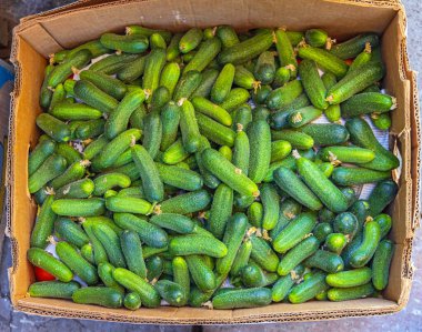 Büyük Kutu Üst Görünümünde Taze Yeşil Salatalıklar