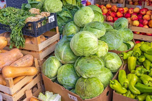 Duża Ilość Świeżych Kapusty Warzywa Wyprodukuj Jesień — Zdjęcie stockowe