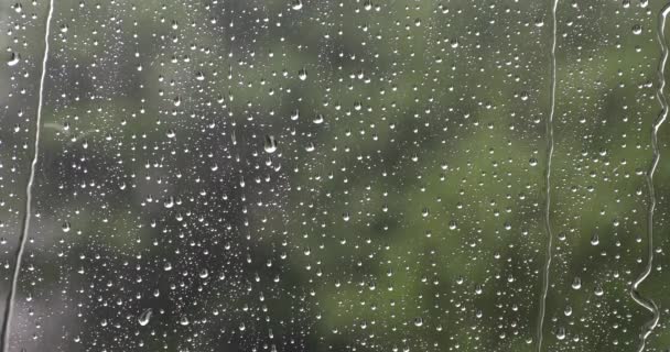 Осінній Дощ Через Вікно Крапельками Абстрактний Вологий День — стокове відео