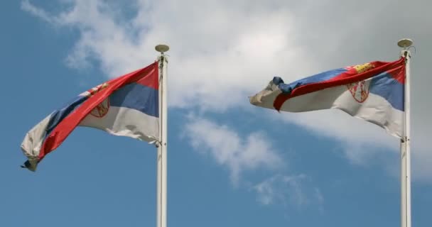 Two Flag Poles National Flags Serbia Windy Day — Stock Video