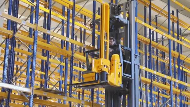 High Rack Stacker Forklift Shelving System Gudang Distribusi Baru — Stok Video