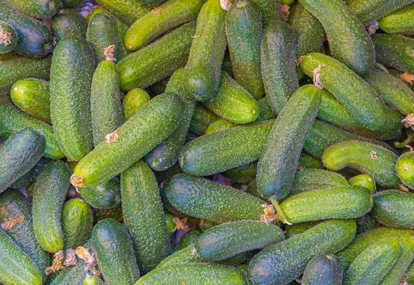 Bunch Van Verse Groene Komkommers Groenten Top View — Stockfoto