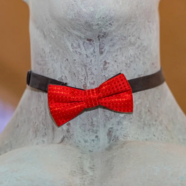 Modern Röd Bow Tie Necktie Knut Skyltdocka — Stockfoto
