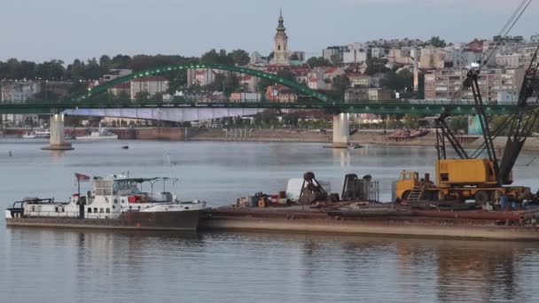 Belgrád Szerbia 2022 Augusztus Vontatóhajó Uszály Kikötve Száva Öreg Hídnál — Stock videók