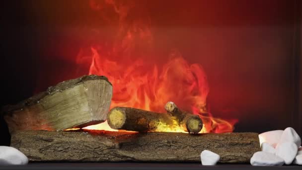 Ceramiczne Drewniane Kłody Sztucznym Kominku Parowymi Efektami Ognia Steam — Wideo stockowe