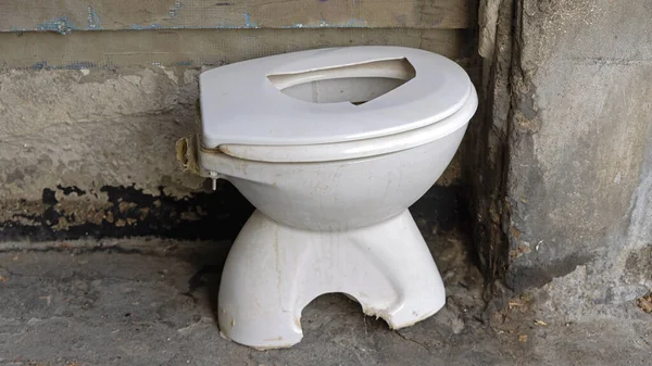 被损坏的废旧白瓷厕所碗废物在户外处置 — 图库照片