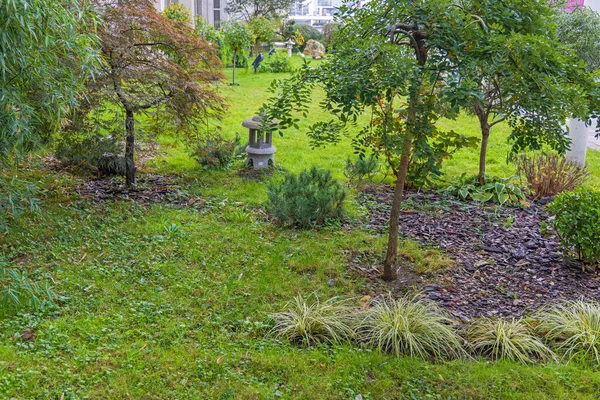 Зеленые Насаждения Каменные Аллеи Японском Саду — стоковое фото